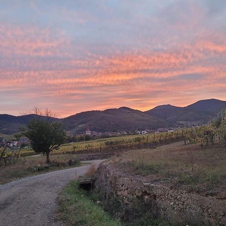 Naova Cosy Studio Kaysersberg-Vignoble Exterior photo