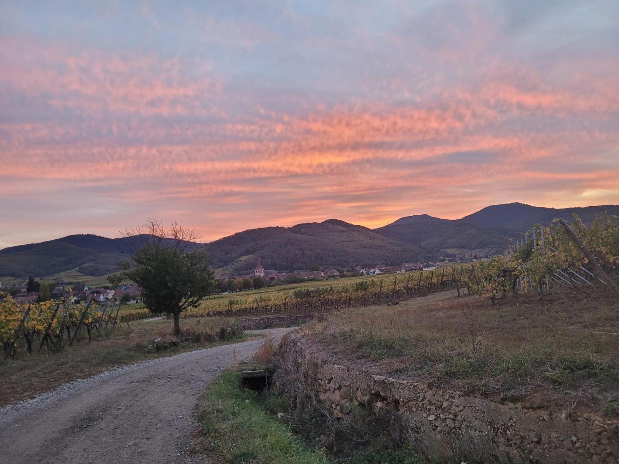 Naova Cosy Studio Kaysersberg-Vignoble Exterior photo