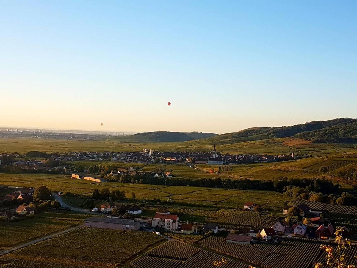 Naova Cosy Studio Kaysersberg-Vignoble Exterior photo